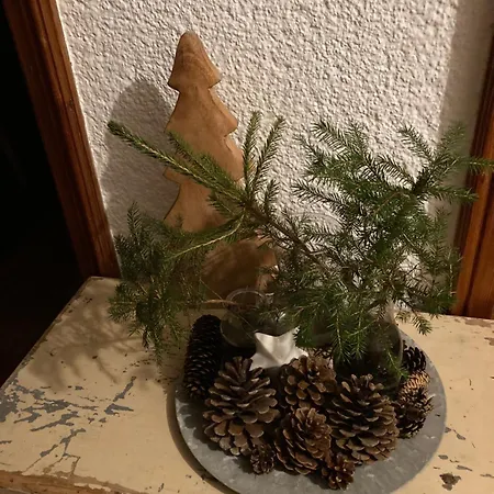 4 Elements Appartmenthaus Monarda フラッハウ