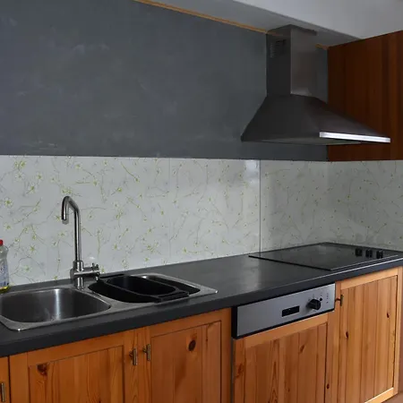 4 Elements Appartmenthaus Monarda Flachau